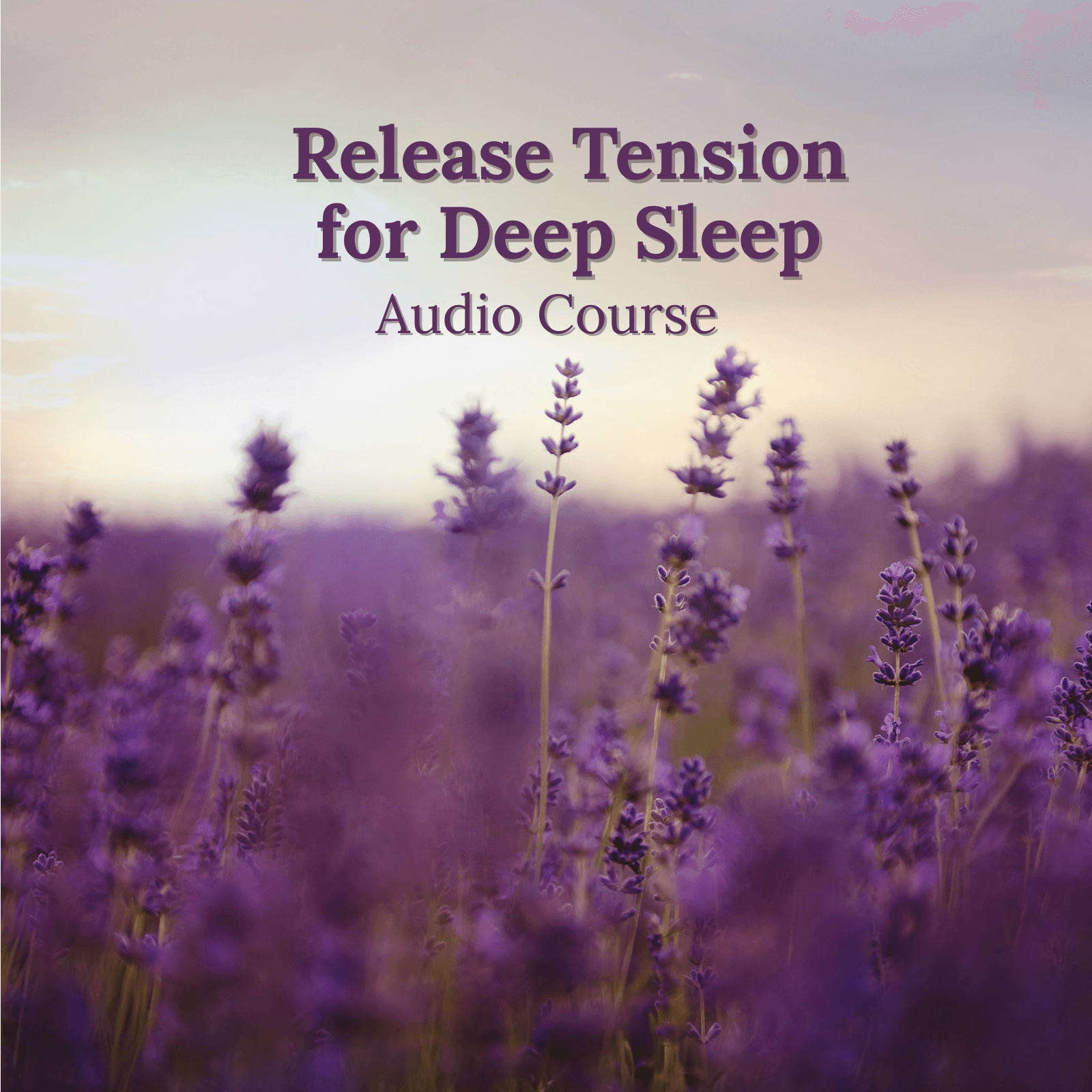 Audio course with 3 soothing recordings to support deep sleep and reduce overwhelm.